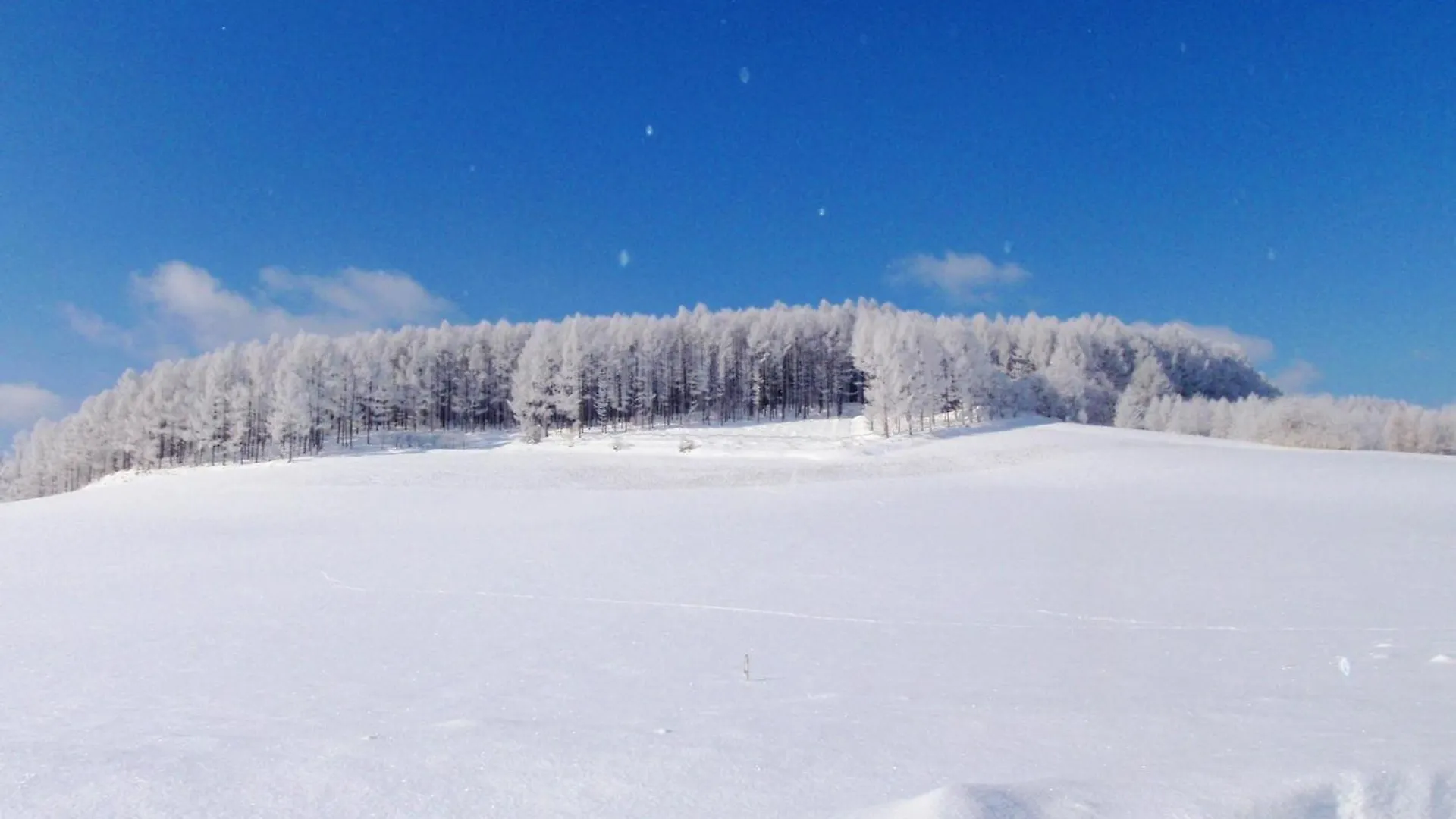 Furano - Hotel / Vacation Stay 35781 Japan