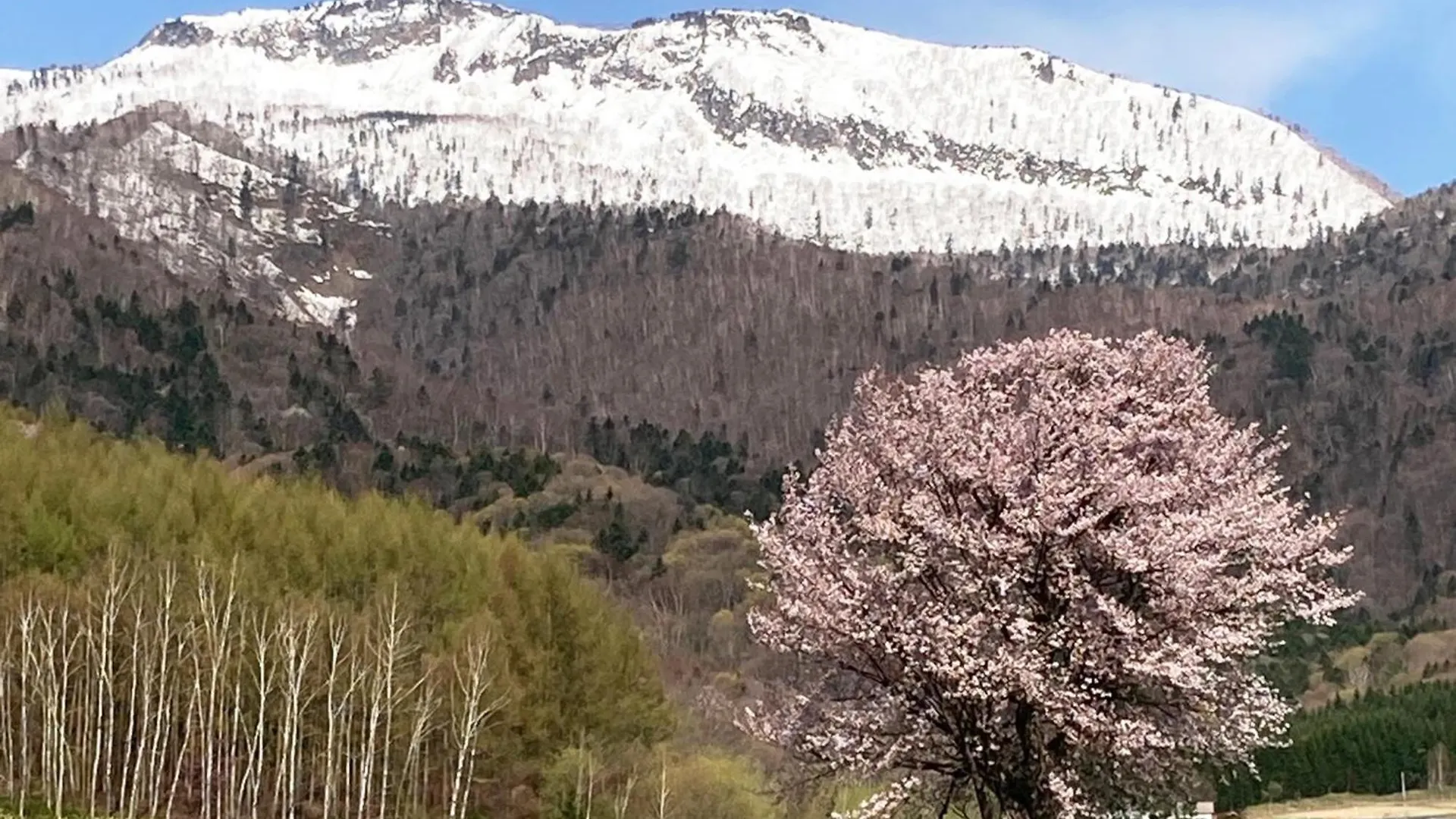 Furano - Hotel / Vacation Stay 35781
