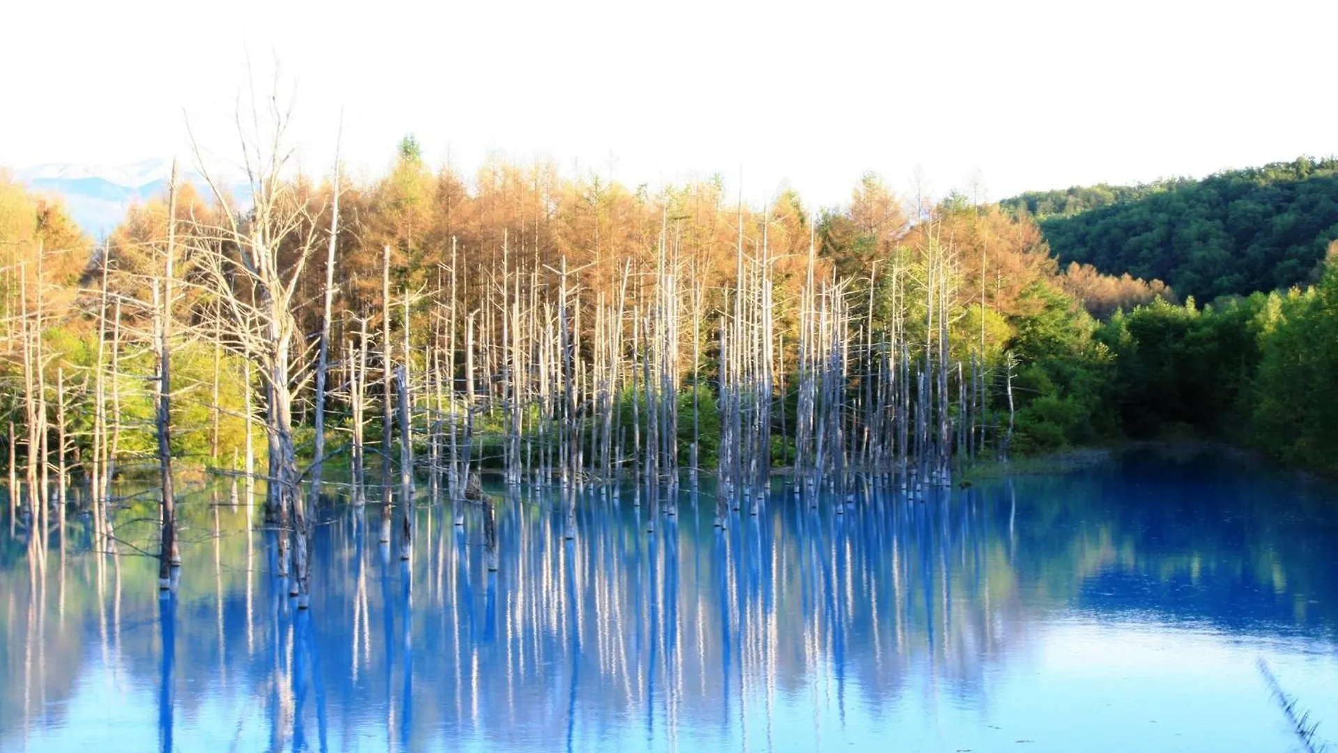 Furano - Hotel / Vacation Stay 35781 اليابان